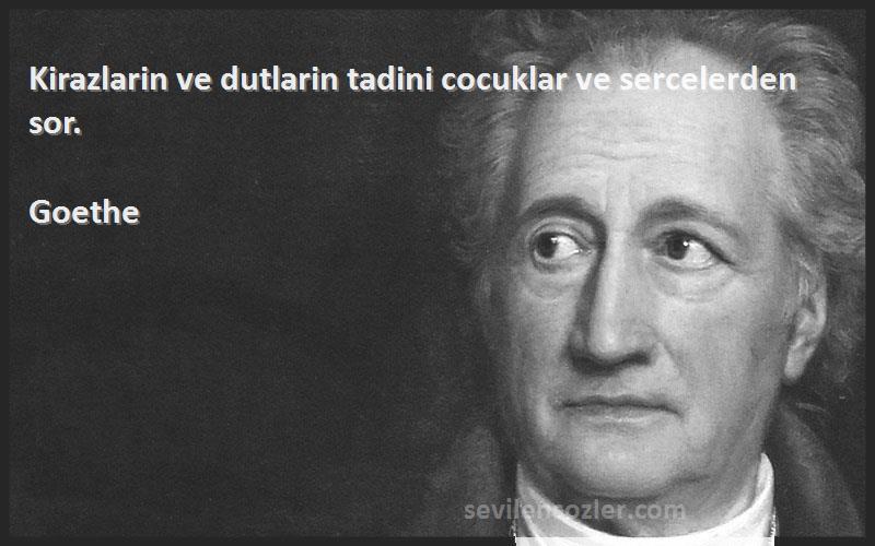 Goethe - Kirazlarin ve dutlarin tadini cocuklar ve sercelerden sor.