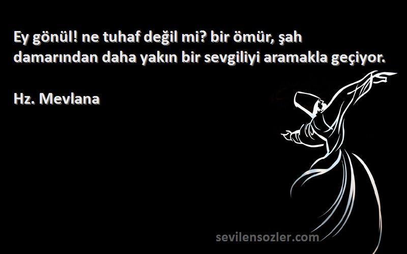 Hz. Mevlana - Ey gönül! ne tuhaf değil mi? bir ömür, şah damarından daha yakın bir sevgiliyi aramakla geçiyor.