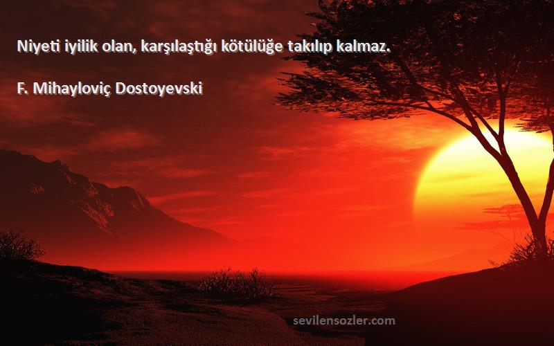 F. Mihayloviç Dostoyevski - Niyeti iyilik olan, karşılaştığı kötülüğe takılıp kalmaz.