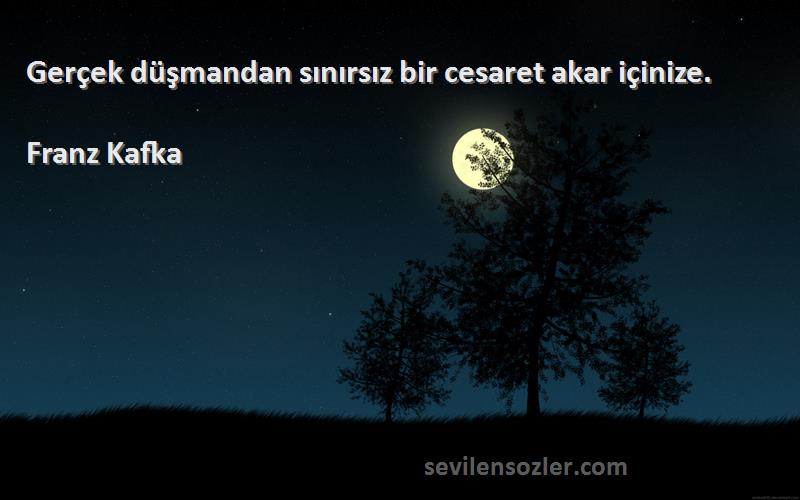 Franz Kafka - Gerçek düşmandan sınırsız bir cesaret akar içinize.