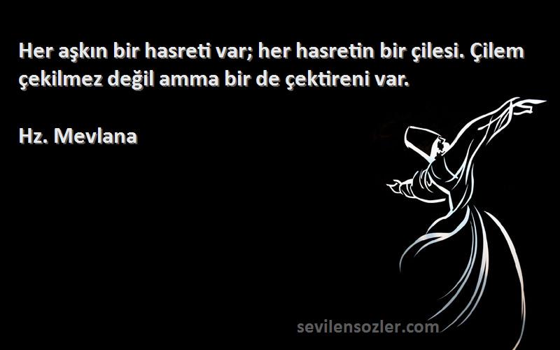 Hz. Mevlana - Her aşkın bir hasreti var; her hasretin bir çilesi. Çilem çekilmez değil amma bir de çektireni var.