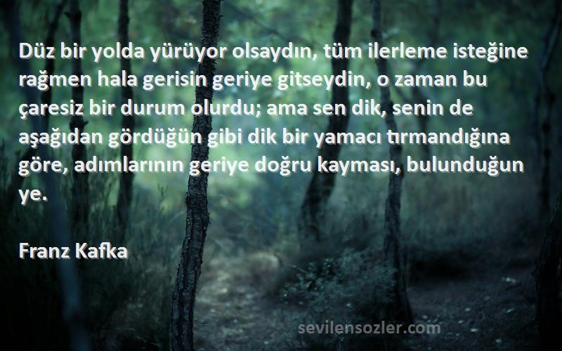 Franz Kafka Sözleri 
Düz bir yolda yürüyor olsaydın, tüm ilerleme isteğine rağmen hala gerisin geriye gitseydin, o zaman bu çaresiz bir durum olurdu; ama sen dik, senin de aşağıdan gördüğün gibi dik bir yamacı tırmandığına göre, adımlarının geriye doğru kayması, bulunduğun ye.