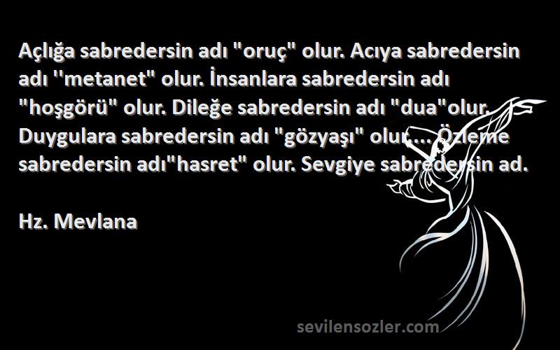 Hz. Mevlana Sözleri 
Açlığa sabredersin adı oruç olur. Acıya sabredersin adı ''metanet olur. İnsanlara sabredersin adı hoşgörü olur. Dileğe sabredersin adı duaolur. Duygulara sabredersin adı gözyaşı olur.... Özleme sabredersin adıhasret olur. Sevgiye sabredersin ad.