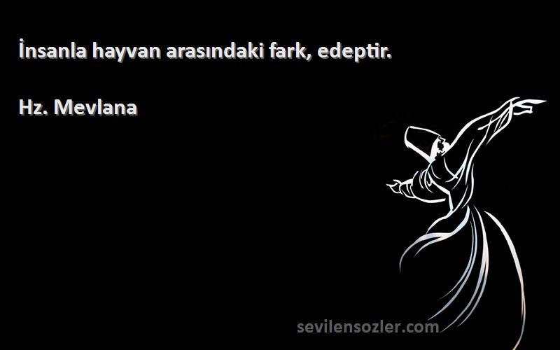 Hz. Mevlana - İnsanla hayvan arasındaki fark, edeptir.