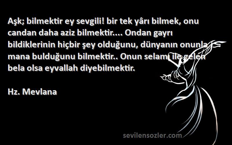 Hz. Mevlana Sözleri 
Aşk; bilmektir ey sevgili! bir tek yârı bilmek, onu candan daha aziz bilmektir.... Ondan gayrı bildiklerinin hiçbir şey olduğunu, dünyanın onunla mana bulduğunu bilmektir.. Onun selamı ile gelen bela olsa eyvallah diyebilmektir.