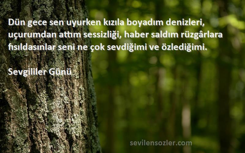 Sevgililer Günü Sözleri 
Dün gece sen uyurken kızıla boyadım denizleri, uçurumdan attım sessizliği, haber saldım rüzgârlara fısıldasınlar seni ne çok sevdiğimi ve özlediğimi.