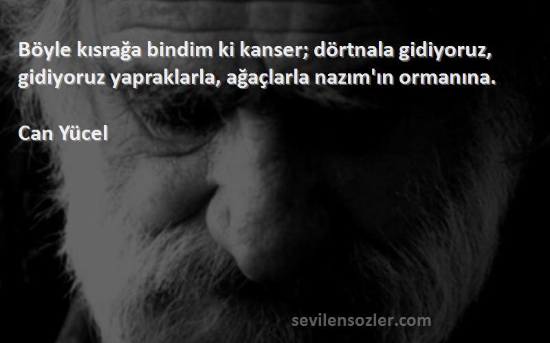 Can Yücel Sözleri 
Böyle kısrağa bindim ki kanser; dörtnala gidiyoruz, gidiyoruz yapraklarla, ağaçlarla nazım'ın ormanına.