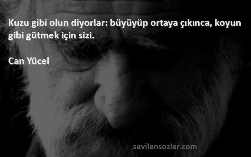 Can Yücel - Kuzu gibi olun diyorlar: büyüyüp ortaya çıkınca, koyun gibi gütmek için sizi.