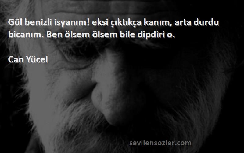 Can Yücel - Gül benizli isyanım! eksi çıktıkça kanım, arta durdu bicanım. Ben ölsem ölsem bile dipdiri o.