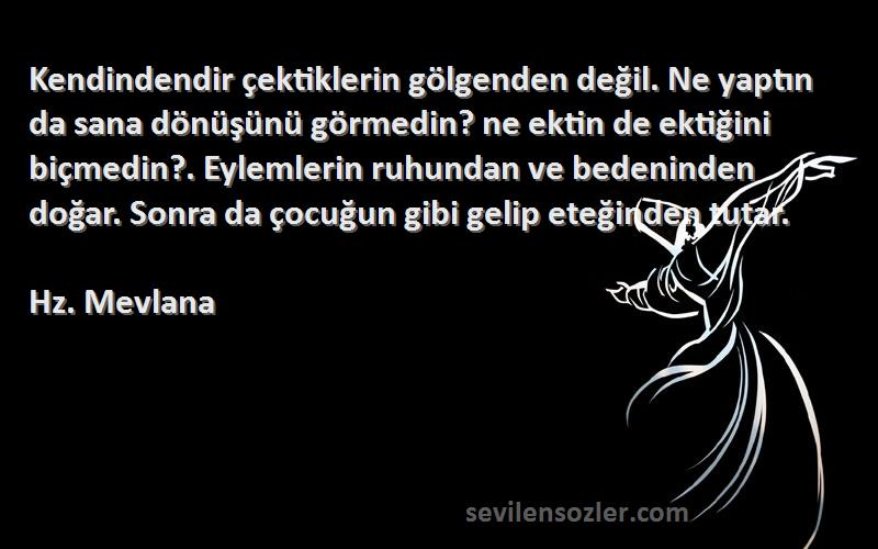 Hz. Mevlana Sözleri 
Kendindendir çektiklerin gölgenden değil. Ne yaptın da sana dönüşünü görmedin? ne ektin de ektiğini biçmedin?. Eylemlerin ruhundan ve bedeninden doğar. Sonra da çocuğun gibi gelip eteğinden tutar.