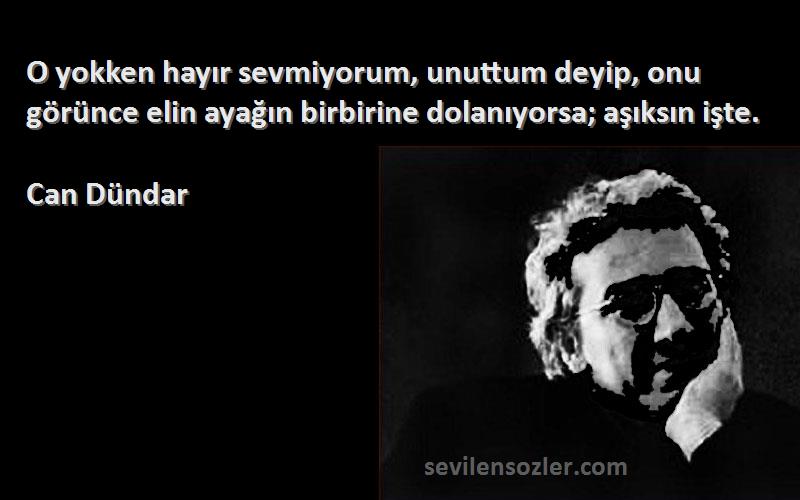 Can Dündar Sözleri 
O yokken hayır sevmiyorum, unuttum deyip, onu görünce elin ayağın birbirine dolanıyorsa; aşıksın işte.