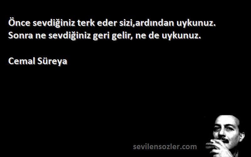 Cemal Süreya - Önce sevdiğiniz terk eder sizi,ardından uykunuz. Sonra ne sevdiğiniz geri gelir, ne de uykunuz.