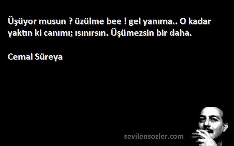 Cemal Süreya - Üşüyor musun ? üzülme bee ! gel yanıma.. O kadar yaktın ki canımı; ısınırsın. Üşümezsin bir daha.