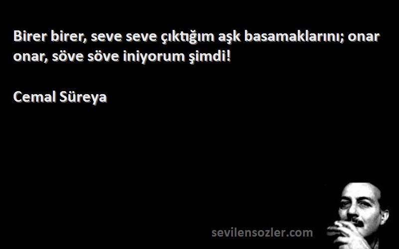 Cemal Süreya - Birer birer, seve seve çıktığım aşk basamaklarını; onar onar, söve söve iniyorum şimdi!