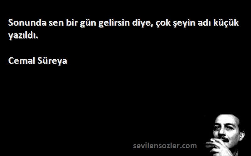 Cemal Süreya - Sonunda sen bir gün gelirsin diye, çok şeyin adı küçük yazıldı.