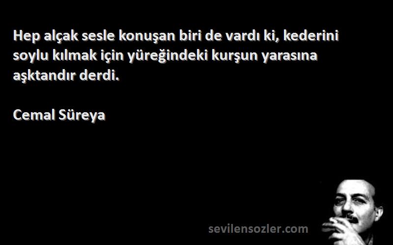 Cemal Süreya Sözleri 
Hep alçak sesle konuşan biri de vardı ki, kederini soylu kılmak için yüreğindeki kurşun yarasına aşktandır derdi.
