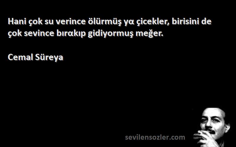 Cemal Süreya Sözleri 
Hani çok su verince ölürmüş yα çicekler, birisini de çok sevince bırαkıp gidiyormuş meğer.