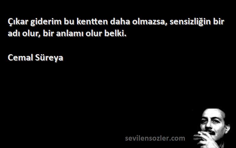 Cemal Süreya - Çıkar giderim bu kentten daha olmazsa, sensizliğin bir adı olur, bir anlamı olur belki.