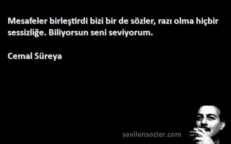 Cemal Süreya - Mesafeler birleştirdi bizi bir de sözler, razı olma hiçbir sessizliğe. Biliyorsun seni seviyorum.