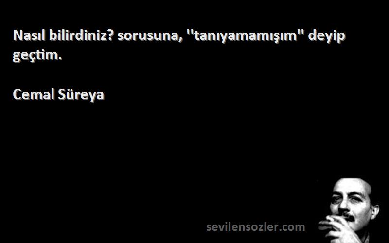 Cemal Süreya - Nasıl bilirdiniz? sorusuna, ''tanıyamamışım'' deyip geçtim.