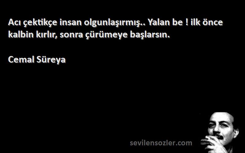 Cemal Süreya Sözleri 
Acı çektikçe insan olgunlaşırmış.. Yalan be ! ilk önce kalbin kırlır, sonra çürümeye başlarsın.