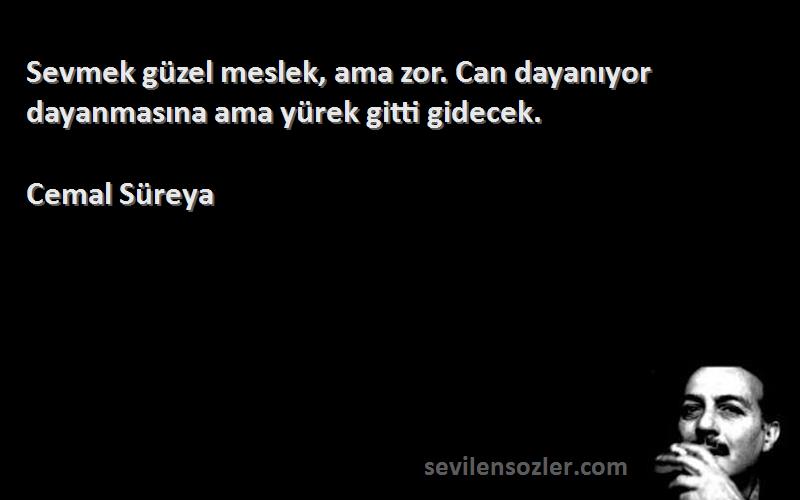 Cemal Süreya - Sevmek güzel meslek, ama zor. Can dayanıyor dayanmasına ama yürek gitti gidecek.