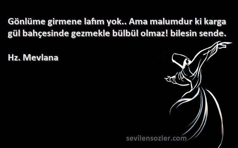 Hz. Mevlana Sözleri 
Gönlüme girmene lafım yok.. Ama malumdur ki karga gül bahçesinde gezmekle bülbül olmaz! bilesin sende.