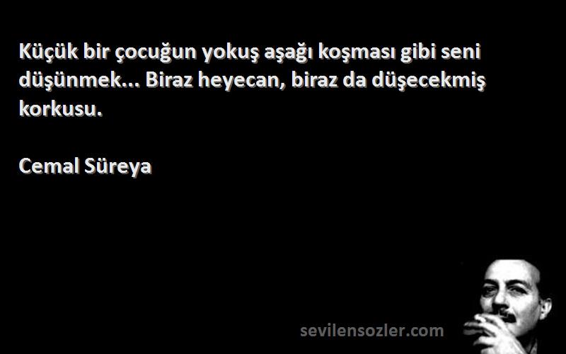 Cemal Süreya Sözleri 
Küçük bir çocuğun yokuş aşağı koşması gibi seni düşünmek... Biraz heyecan, biraz da düşecekmiş korkusu.