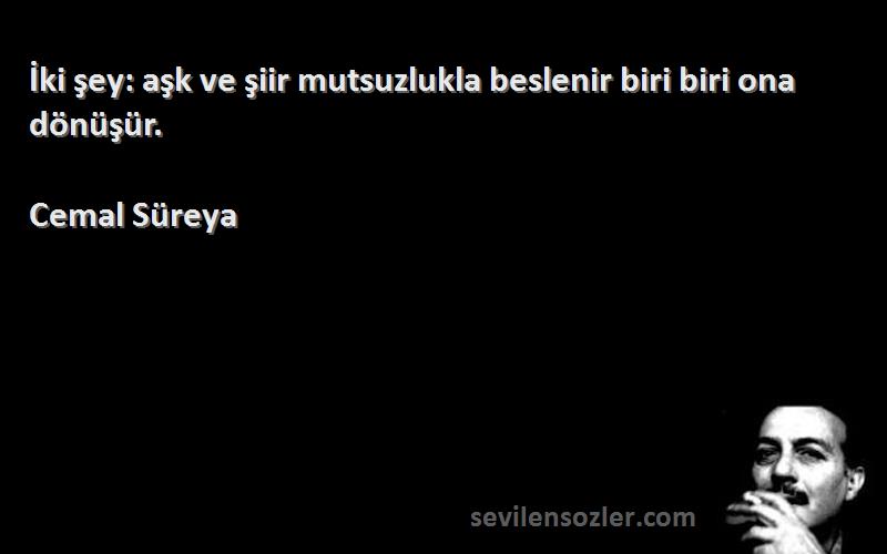 Cemal Süreya - İki şey: aşk ve şiir mutsuzlukla beslenir biri biri ona dönüşür.