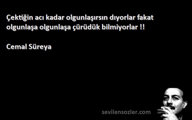 Cemal Süreya - Çektiğin acı kadar olgunlaşırsın dıyorlar fakat olgunlaşa olgunlaşa çürüdük bilmiyorlar !!