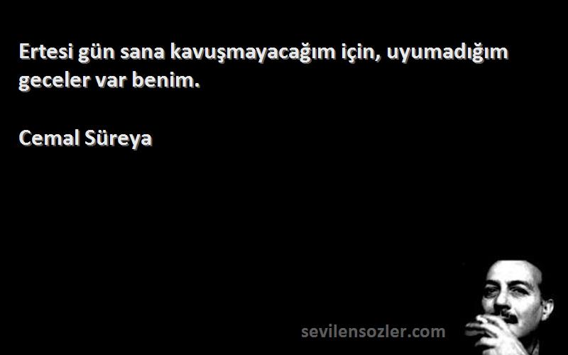 Cemal Süreya - Ertesi gün sana kavuşmayacağım için, uyumadığım geceler var benim.