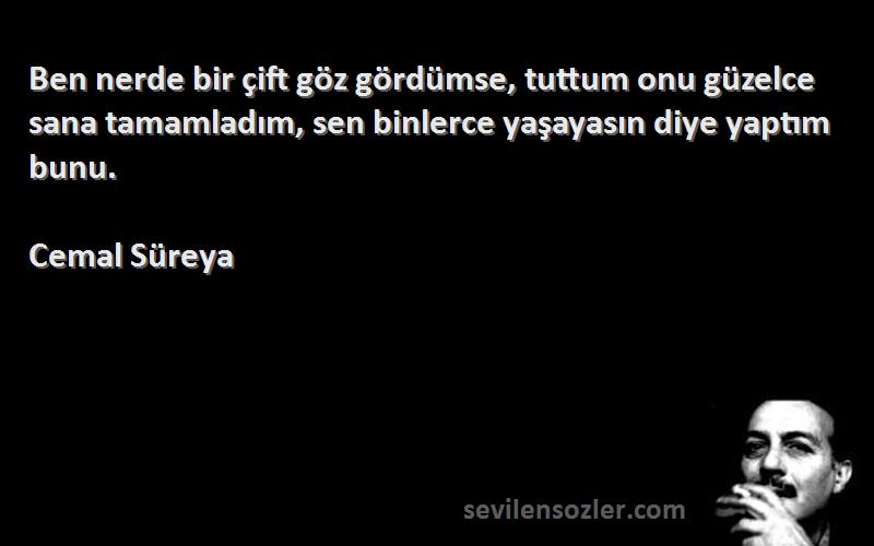 Cemal Süreya Sözleri 
Ben nerde bir çift göz gördümse, tuttum onu güzelce sana tamamladım, sen binlerce yaşayasın diye yaptım bunu.