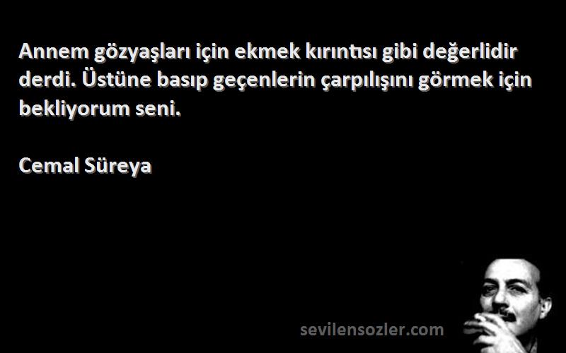 Cemal Süreya Sözleri 
Annem gözyaşları için ekmek kırıntısı gibi değerlidir derdi. Üstüne basıp geçenlerin çarpılışını görmek için bekliyorum seni.