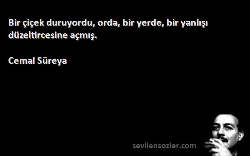 Cemal Süreya Sözleri 
Bir çiçek duruyordu, orda, bir yerde, bir yanlışı düzeltircesine açmış.