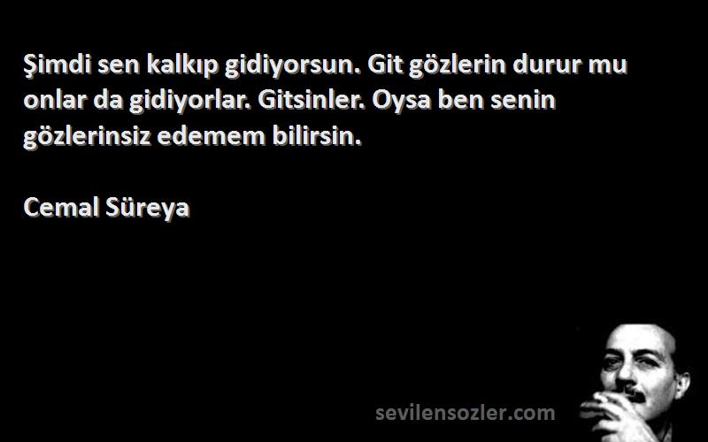 Cemal Süreya Sözleri 
Şimdi sen kalkıp gidiyorsun. Git gözlerin durur mu onlar da gidiyorlar. Gitsinler. Oysa ben senin gözlerinsiz edemem bilirsin.