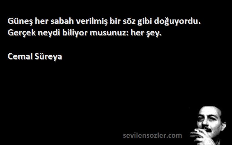 Cemal Süreya - Güneş her sabah verilmiş bir söz gibi doğuyordu. Gerçek neydi biliyor musunuz: her şey.