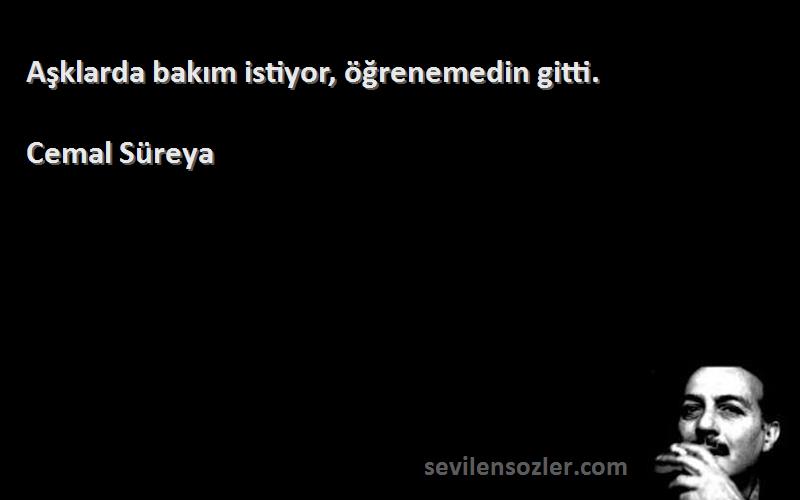 Cemal Süreya Sözleri 
Aşklarda bakım istiyor, öğrenemedin gitti.