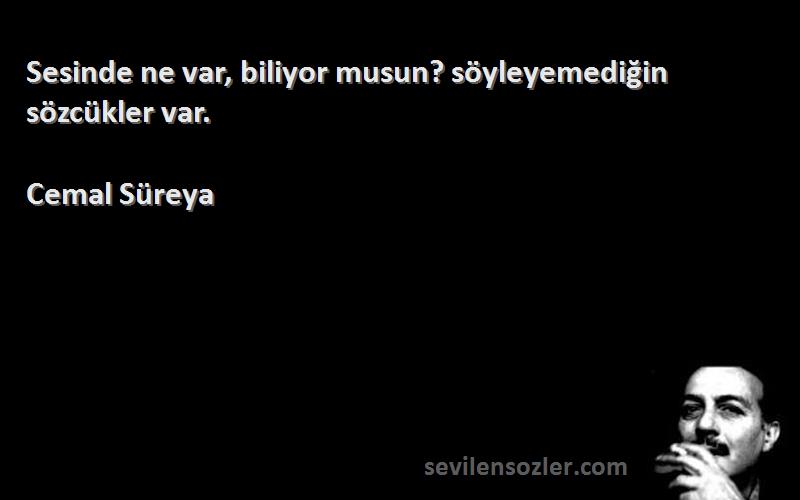 Cemal Süreya - Sesinde ne var, biliyor musun? söyleyemediğin sözcükler var.