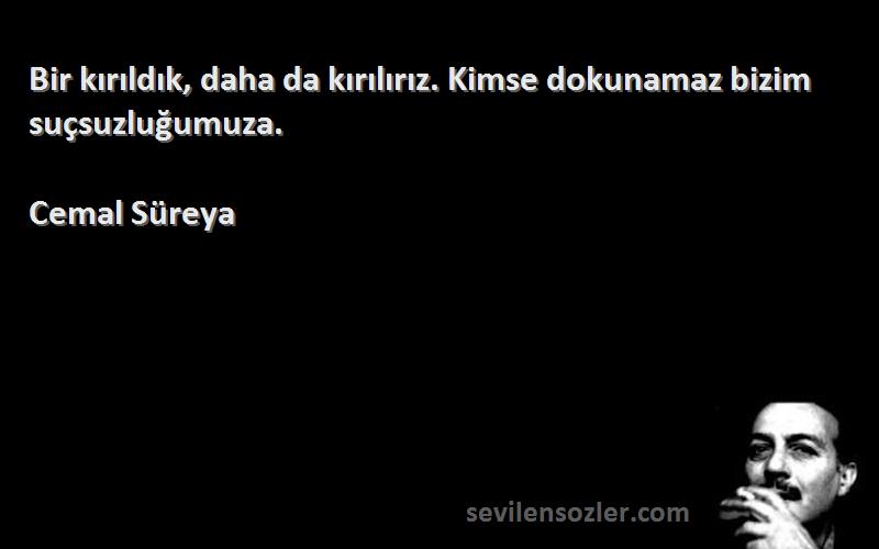 Cemal Süreya - Bir kırıldık, daha da kırılırız. Kimse dokunamaz bizim suçsuzluğumuza.