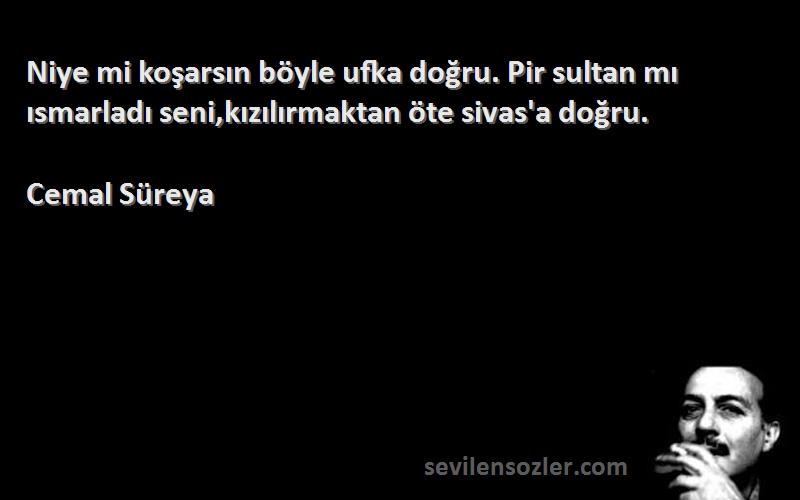 Cemal Süreya - Niye mi koşarsın böyle ufka doğru. Pir sultan mı ısmarladı seni,kızılırmaktan öte sivas'a doğru.