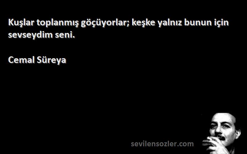 Cemal Süreya - Kuşlar toplanmış göçüyorlar; keşke yalnız bunun için sevseydim seni.