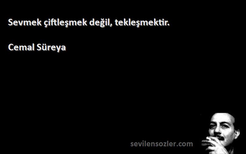 Cemal Süreya - Sevmek çiftleşmek değil, tekleşmektir.