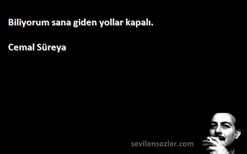 Cemal Süreya - Biliyorum sana giden yollar kapalı.