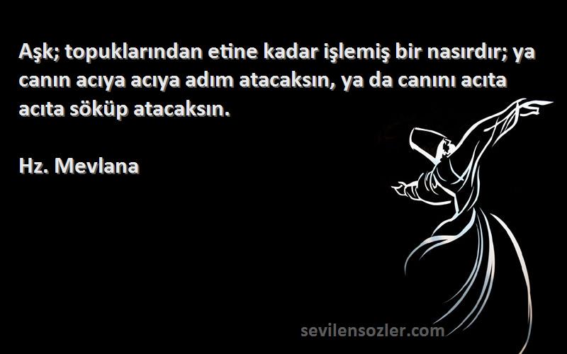 Hz. Mevlana Sözleri 
Aşk; topuklarından etine kadar işlemiş bir nasırdır; ya canın acıya acıya adım atacaksın, ya da canını acıta acıta söküp atacaksın.