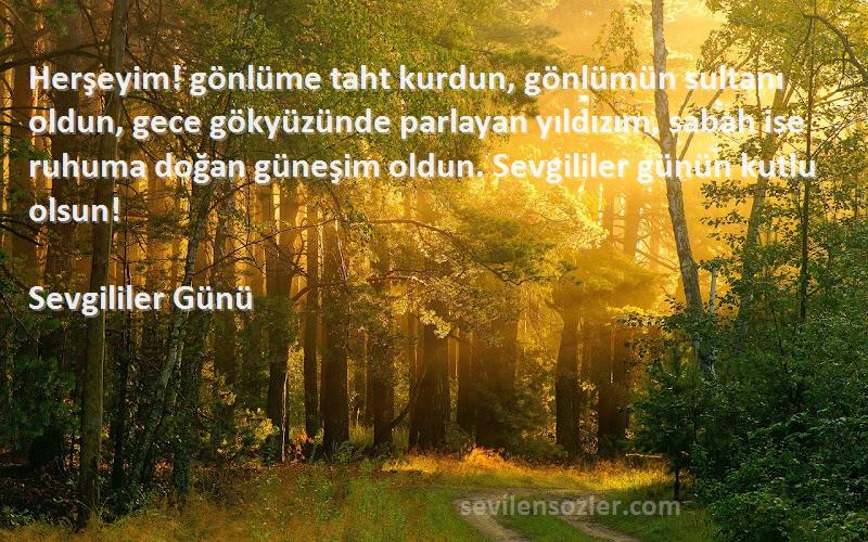 Sevgililer Günü Sözleri 
Herşeyim! gönlüme taht kurdun, gönlümün sultanı oldun, gece gökyüzünde parlayan yıldızım, sabah ise ruhuma doğan güneşim oldun. Sevgililer günün kutlu olsun!