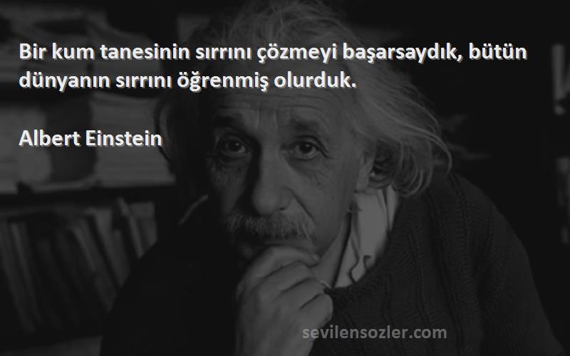 Albert Einstein - Bir kum tanesinin sırrını çözmeyi başarsaydık, bütün dünyanın sırrını öğrenmiş olurduk.