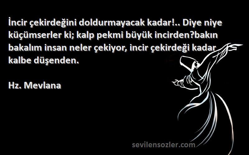 Hz. Mevlana Sözleri 
İncir çekirdeğini doldurmayacak kadar!.. Diye niye küçümserler ki; kalp pekmi büyük incirden?bakın bakalım insan neler çekiyor, incir çekirdeği kadar kalbe düşenden.