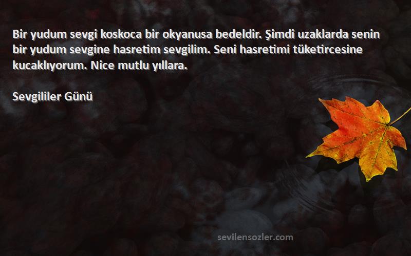 Sevgililer Günü Sözleri 
Bir yudum sevgi koskoca bir okyanusa bedeldir. Şimdi uzaklarda senin bir yudum sevgine hasretim sevgilim. Seni hasretimi tüketircesine kucaklıyorum. Nice mutlu yıllara.