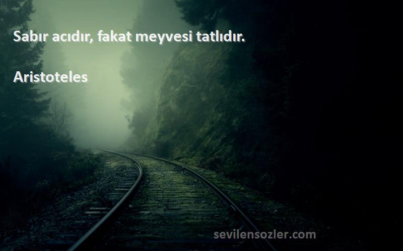 Aristoteles - Sabır acıdır, fakat meyvesi tatlıdır.