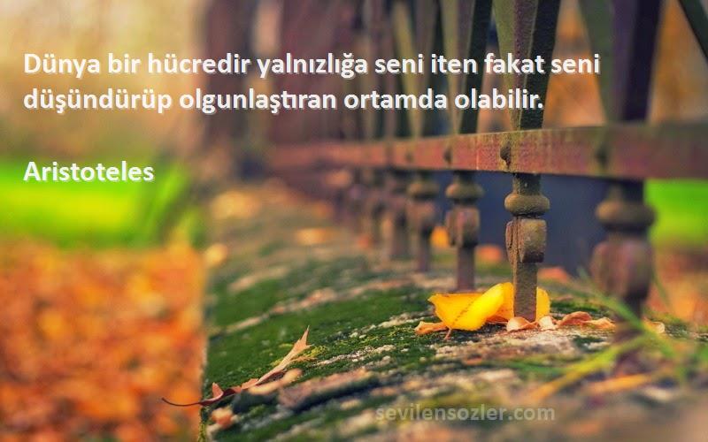 Aristoteles - Dünya bir hücredir yalnızlığa seni iten fakat seni düşündürüp olgunlaştıran ortamda olabilir.